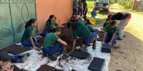  imagen Huertos escolares&nbsp; 